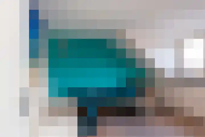 Bruinvis 16 Naaldwijk thumbnail 44