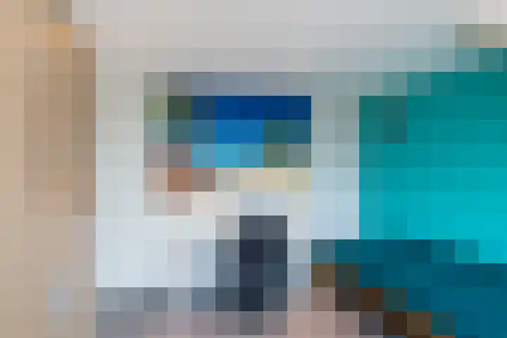 Bruinvis 16 Naaldwijk thumbnail 45