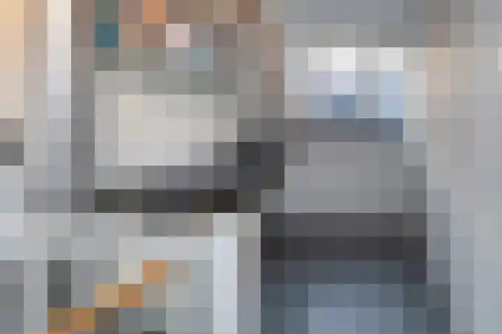 Bruinvis 16 Naaldwijk thumbnail 47