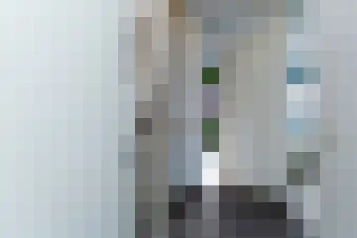 Bruinvis 16 Naaldwijk thumbnail 48