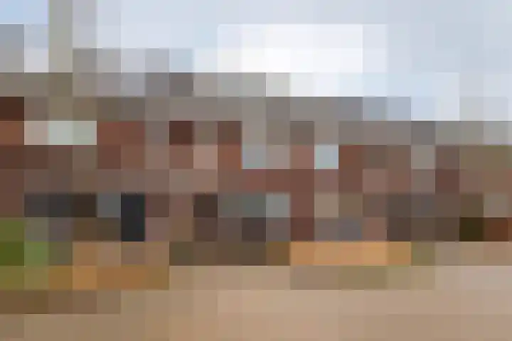 Bruinvis 16 Naaldwijk thumbnail 50