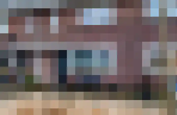 Bruinvis 16 Naaldwijk thumbnail 51