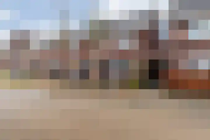 Bruinvis 16 Naaldwijk thumbnail 52