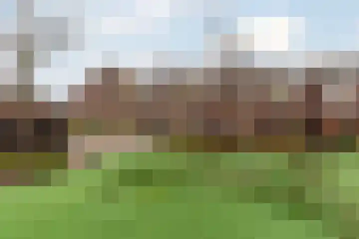 Bruinvis 16 Naaldwijk thumbnail 53