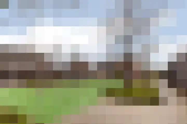 Bruinvis 16 Naaldwijk thumbnail 54