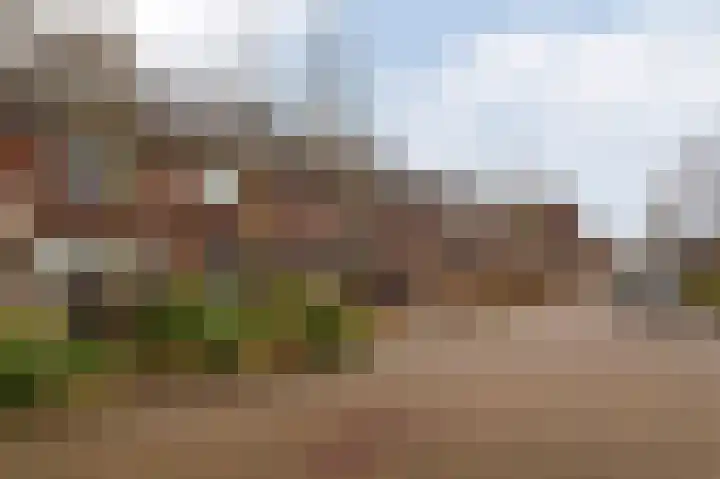 Bruinvis 16 Naaldwijk thumbnail 55