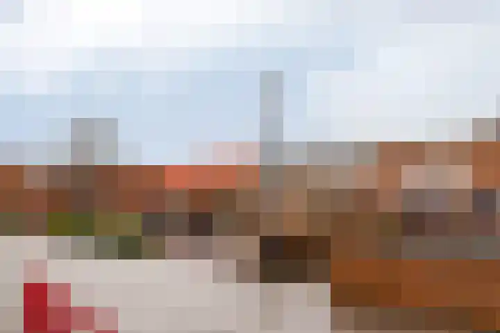 Bruinvis 16 Naaldwijk thumbnail 56