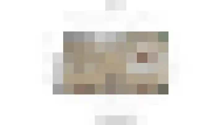 Bruinvis 16 Naaldwijk thumbnail 58