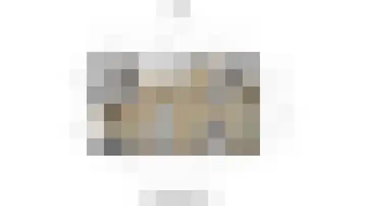 Bruinvis 16 Naaldwijk thumbnail 59