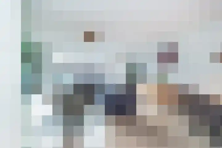 Bruinvis 16 Naaldwijk thumbnail 6