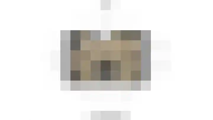 Bruinvis 16 Naaldwijk thumbnail 60