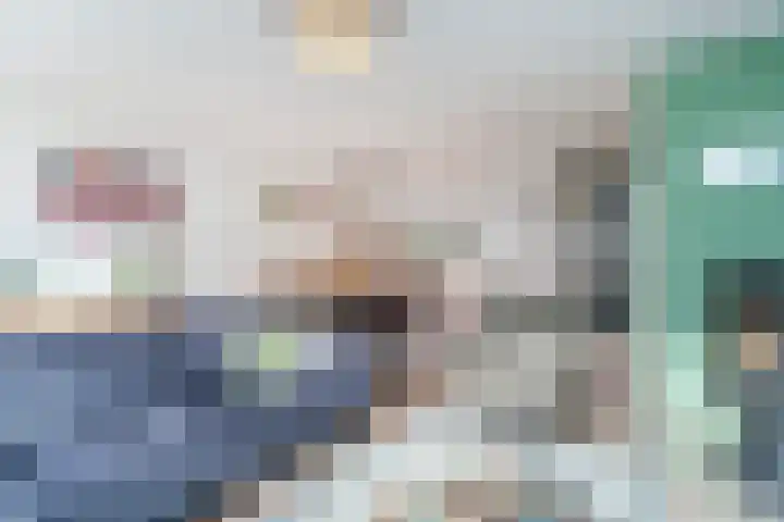 Bruinvis 16 Naaldwijk thumbnail 8