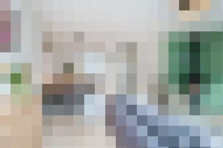Bruinvis 16 Naaldwijk thumbnail 9