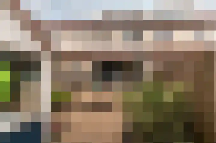 Bruinvispad 27 Almere thumbnail 32