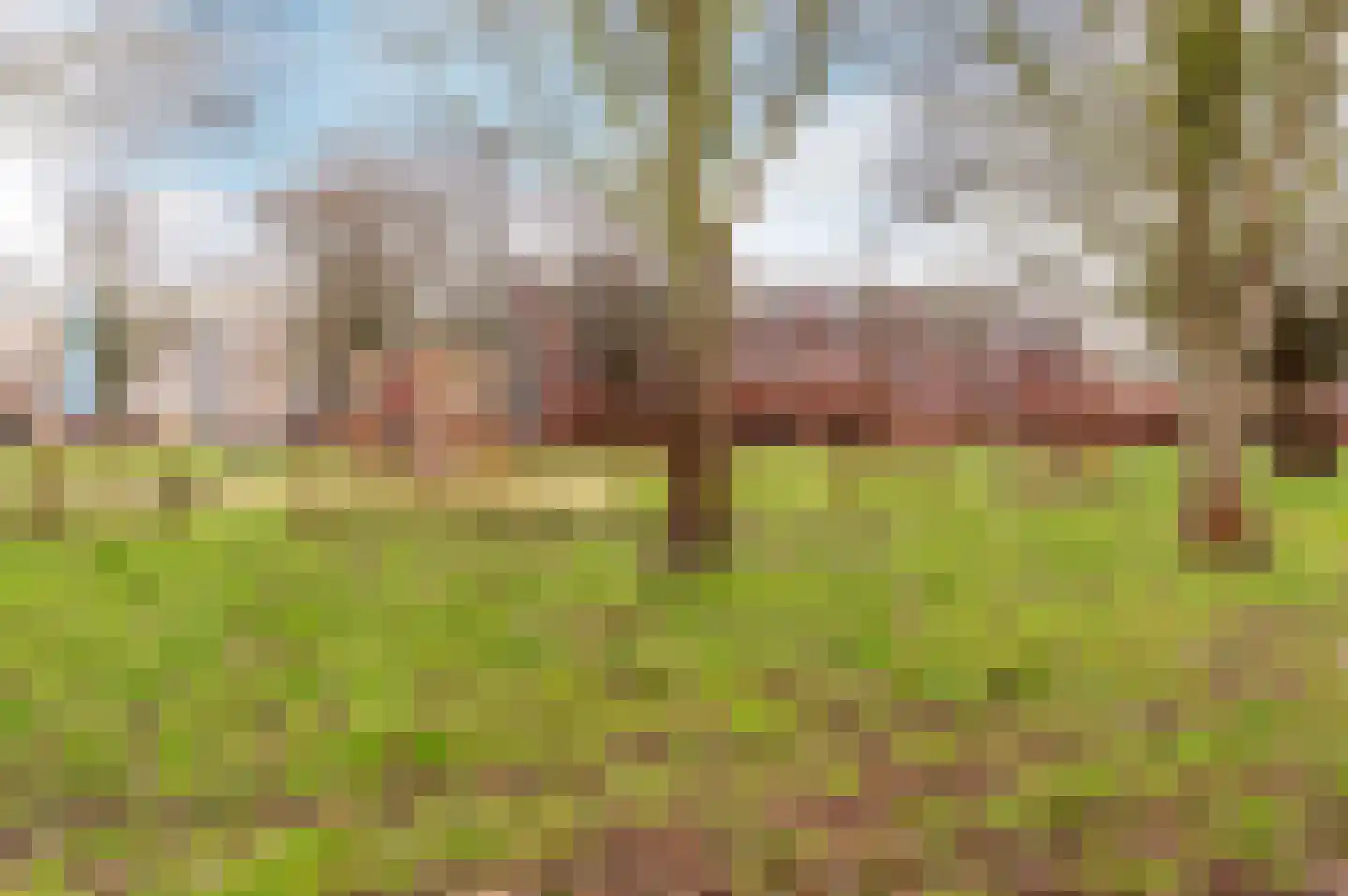 Bruinvispad 27 Almere thumbnail 33