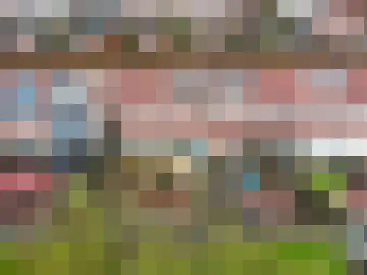 Bruinvispad 27 Almere thumbnail 39