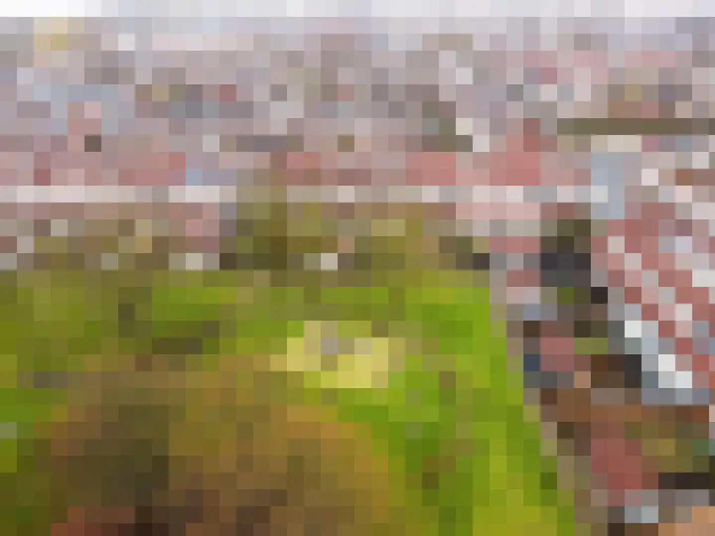 Bruinvispad 27 Almere thumbnail 40