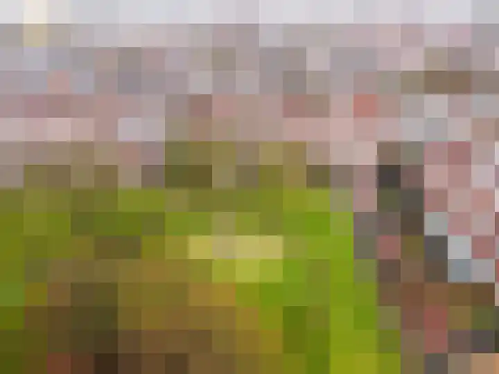 Bruinvispad 27 Almere thumbnail 40