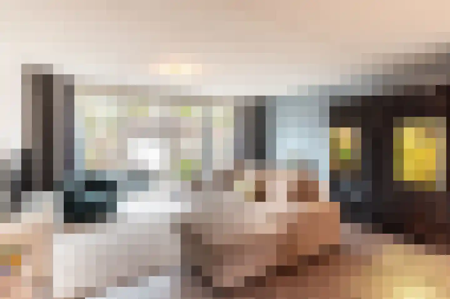 Bruinvispad 27 Almere thumbnail 8
