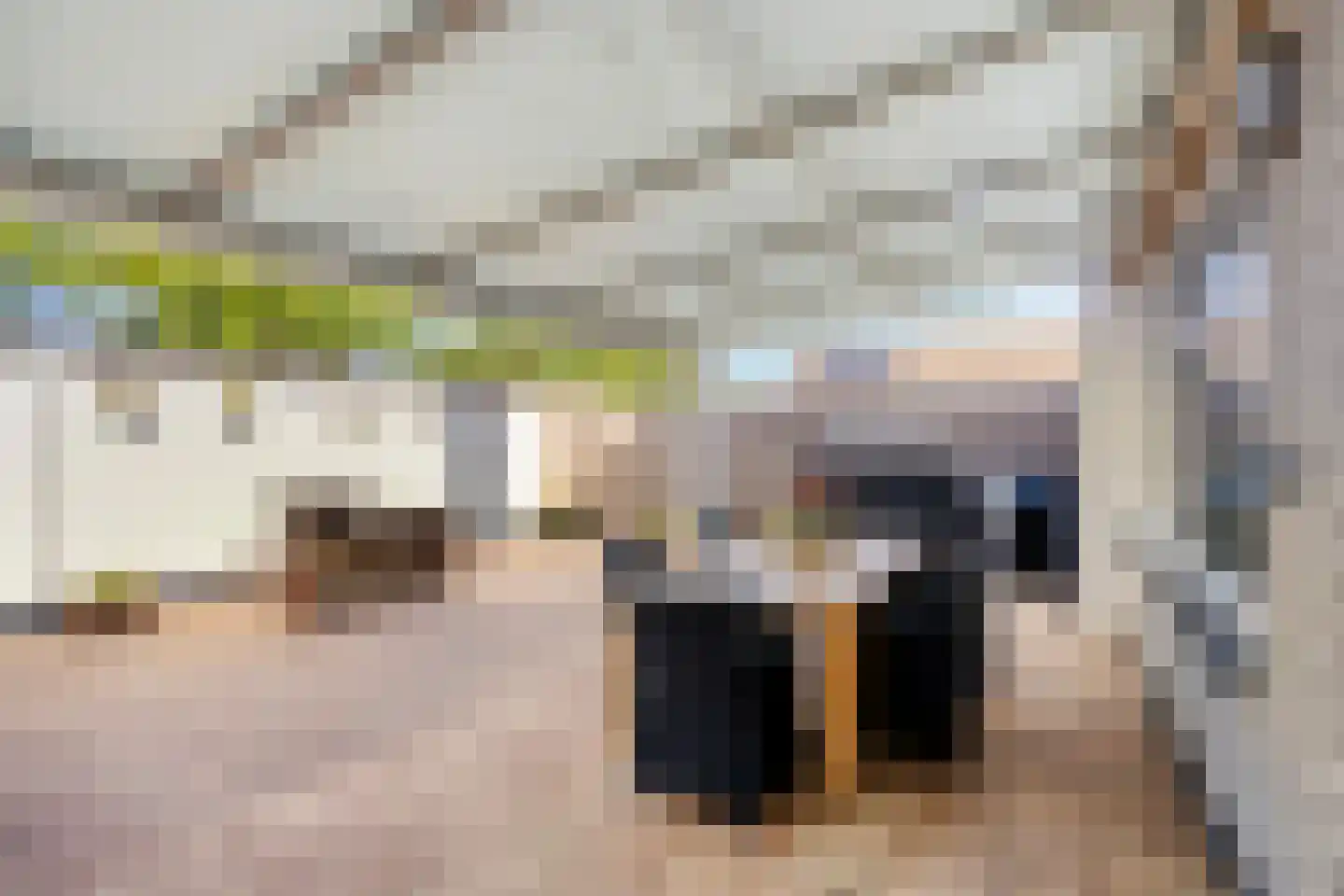Bruinvisstraat 1 Helmond thumbnail 31