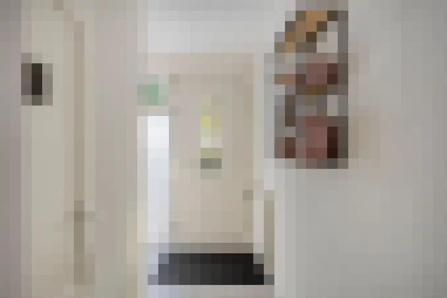 Bruinvisstraat 1 Helmond thumbnail 9