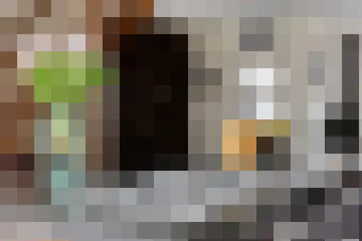 Bruinvisstraat 10 Helmond thumbnail 15
