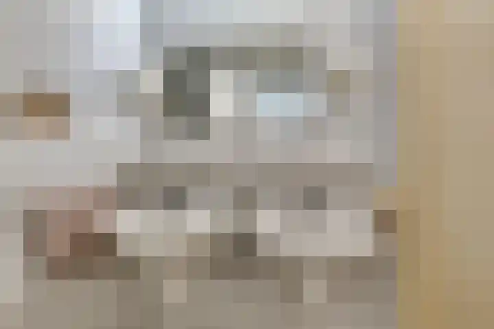 Bruinvisstraat 10 Helmond thumbnail 28