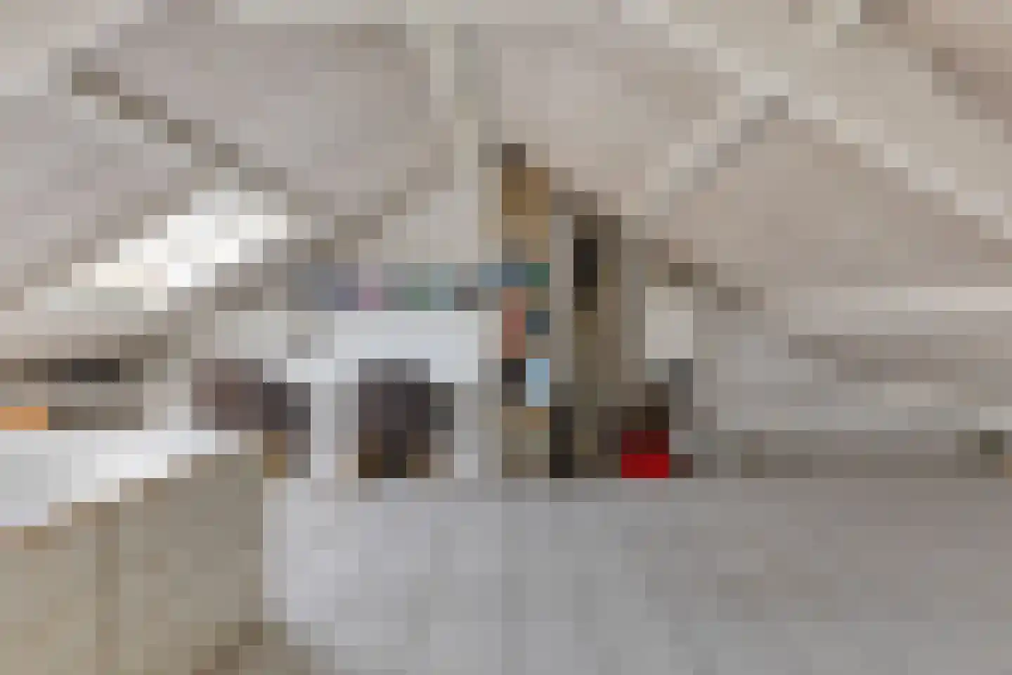 Bruinvisstraat 10 Helmond thumbnail 34