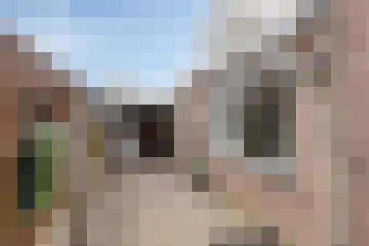 Bruinvisstraat 10 Helmond thumbnail 37