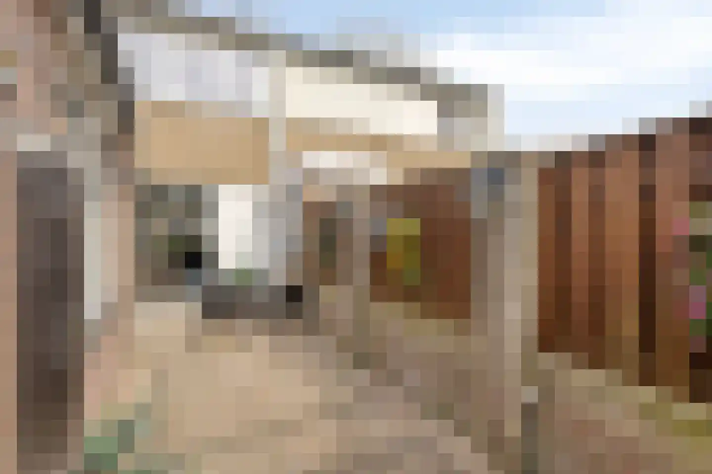 Bruinvisstraat 10 Helmond thumbnail 38