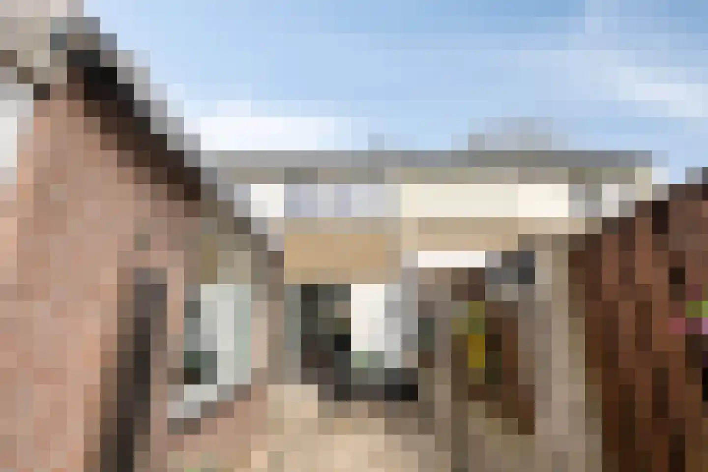 Bruinvisstraat 10 Helmond thumbnail 39