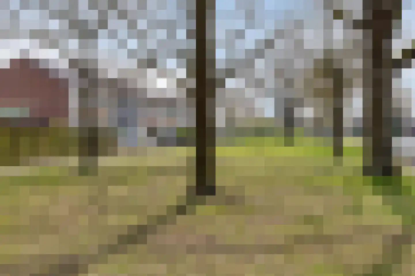 Bruinvisstraat 10 Helmond thumbnail 47