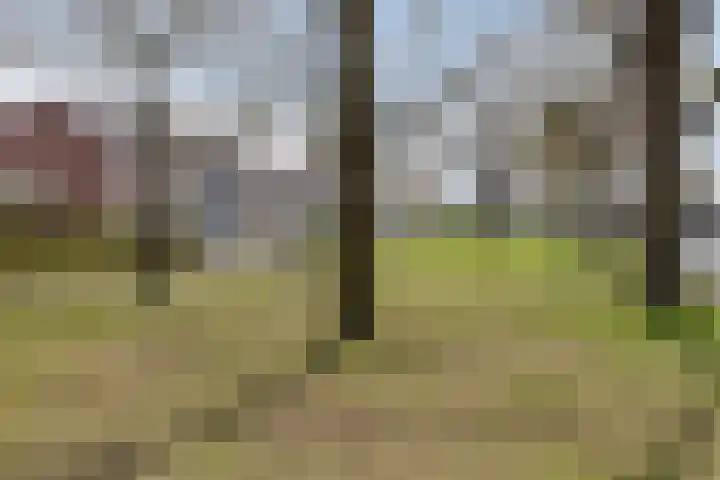 Bruinvisstraat 10 Helmond thumbnail 47