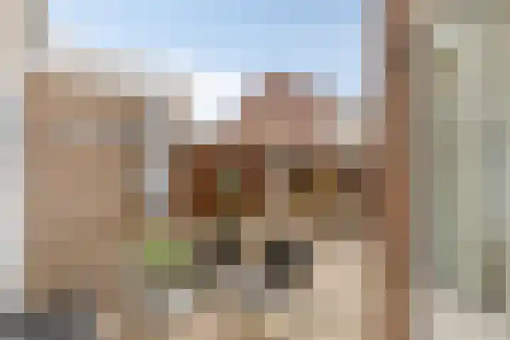 Bruinvisstraat 10 Helmond thumbnail 6