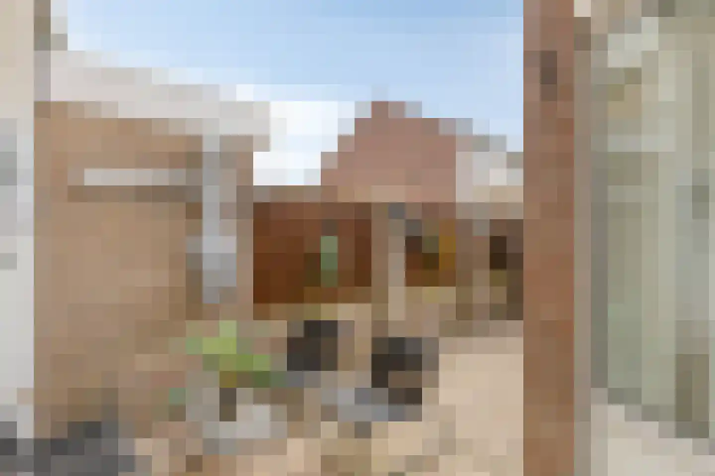 Bruinvisstraat 10 Helmond thumbnail 6