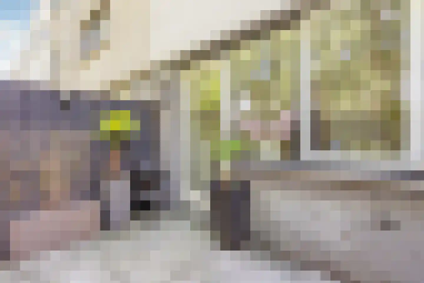 Bruinvisstraat 23 Amsterdam thumbnail 17