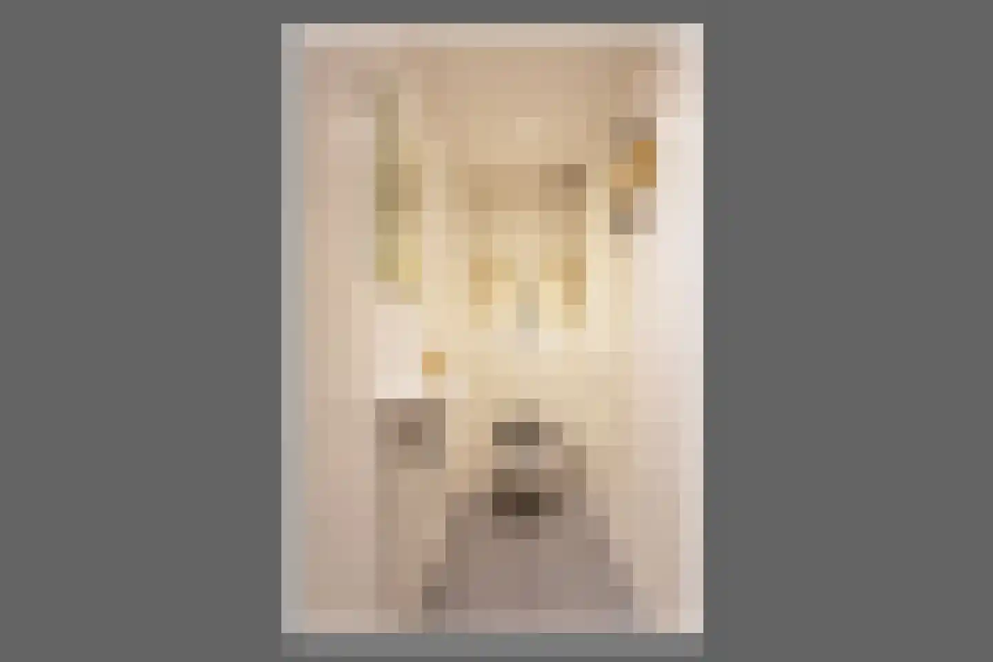 Bruinvisstraat 23 Amsterdam thumbnail 19