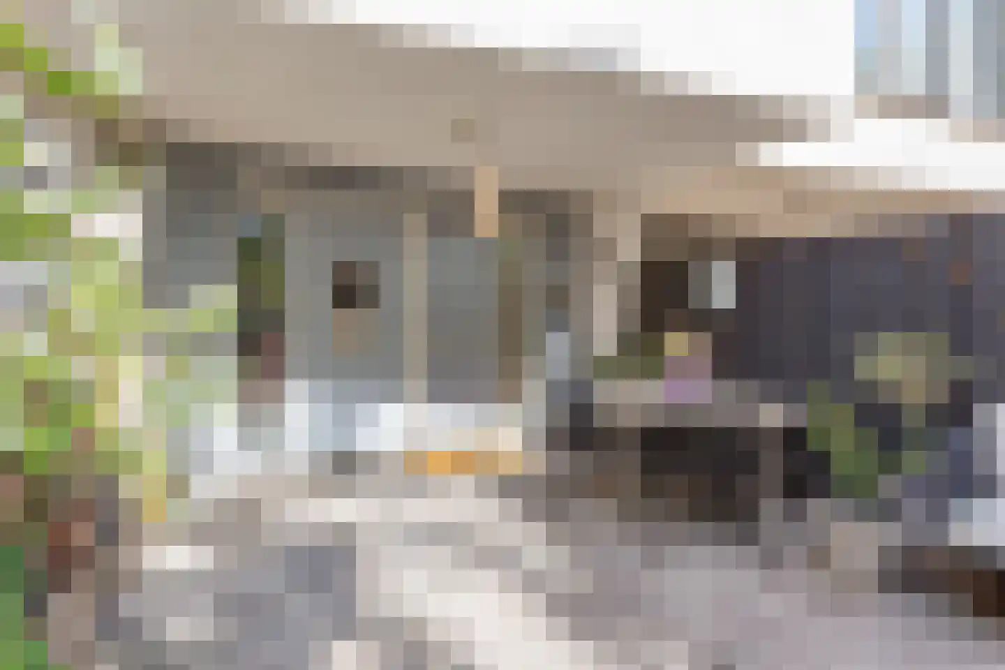 Bruinvisstraat 23 Amsterdam thumbnail 33