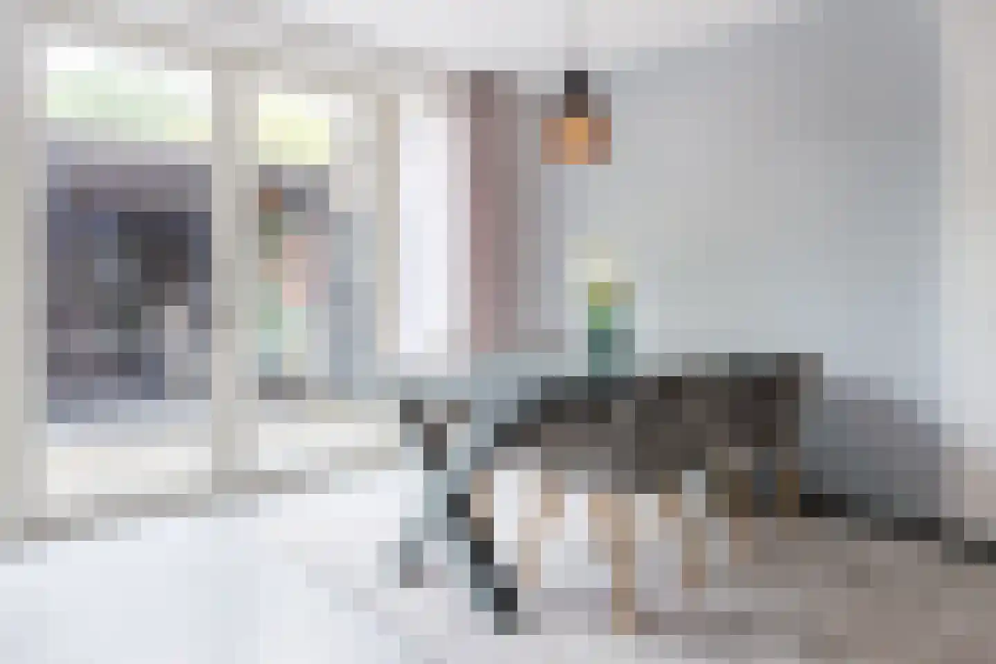 Bruinvisstraat 3 Amsterdam thumbnail 12