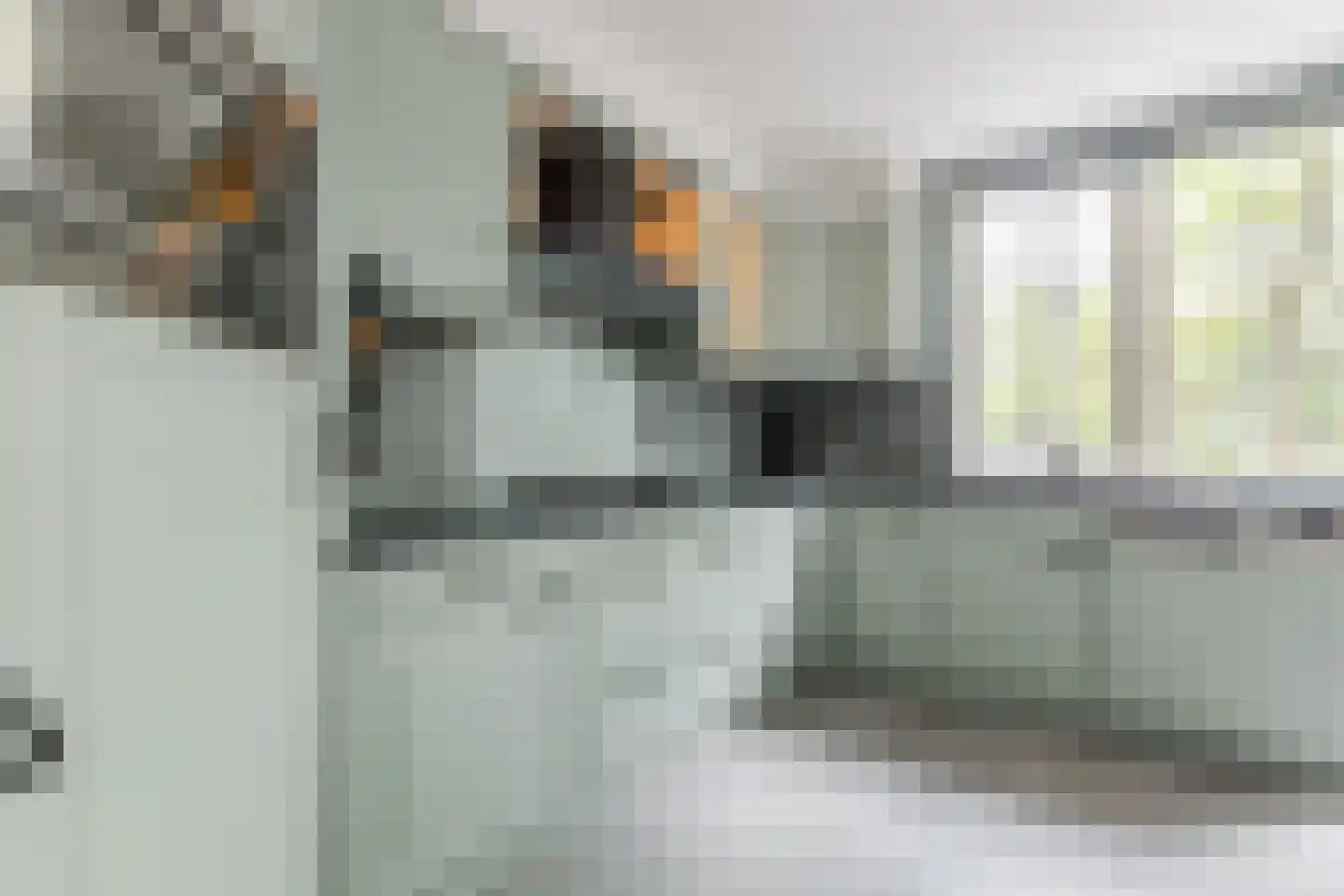 Bruinvisstraat 3 Amsterdam thumbnail 16