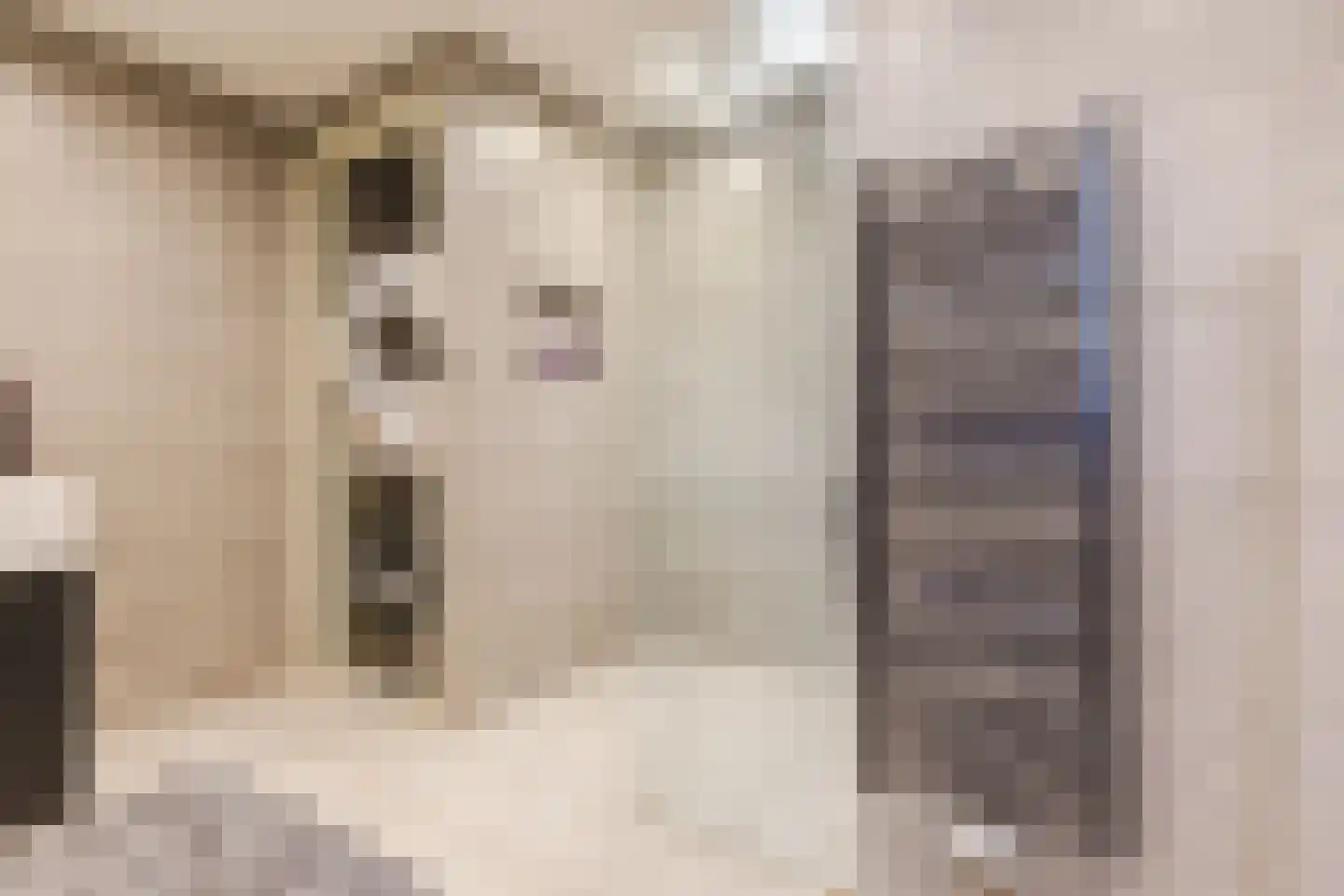 Bruinvisstraat 3 Amsterdam thumbnail 23
