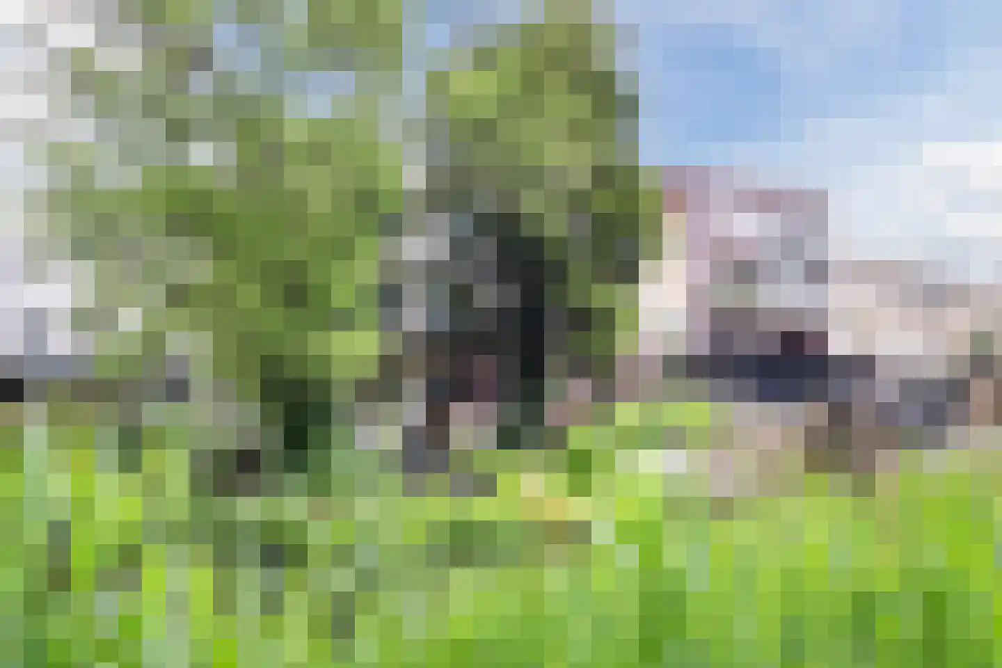Bruinvisstraat 3 Amsterdam thumbnail 37