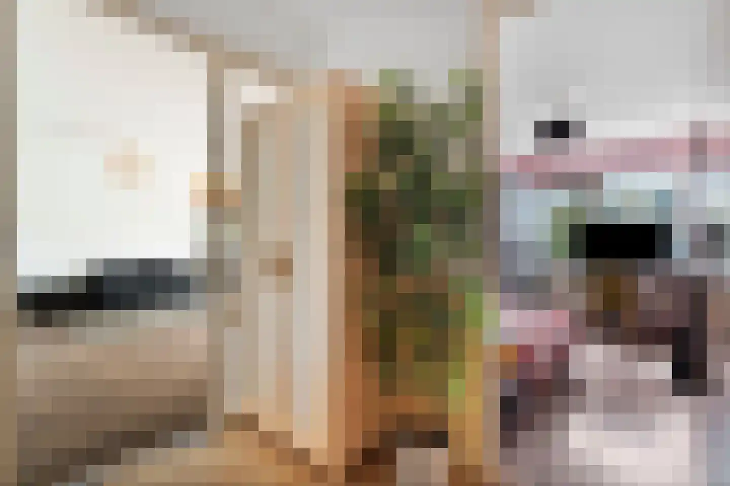 Bruinvisstraat 30 Amsterdam thumbnail 16
