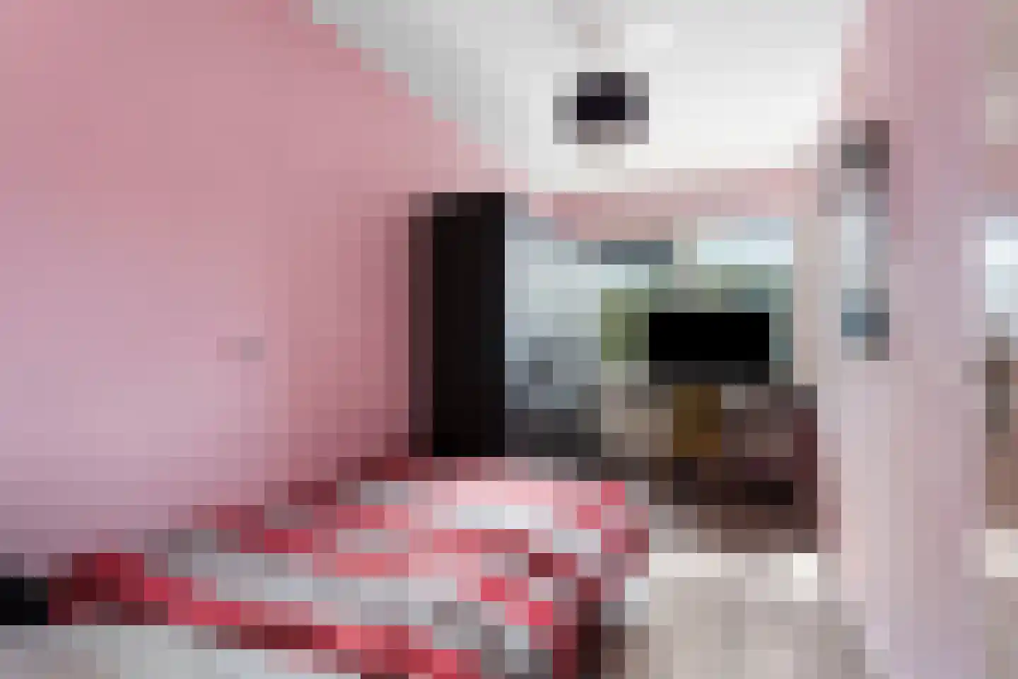 Bruinvisstraat 30 Amsterdam thumbnail 17