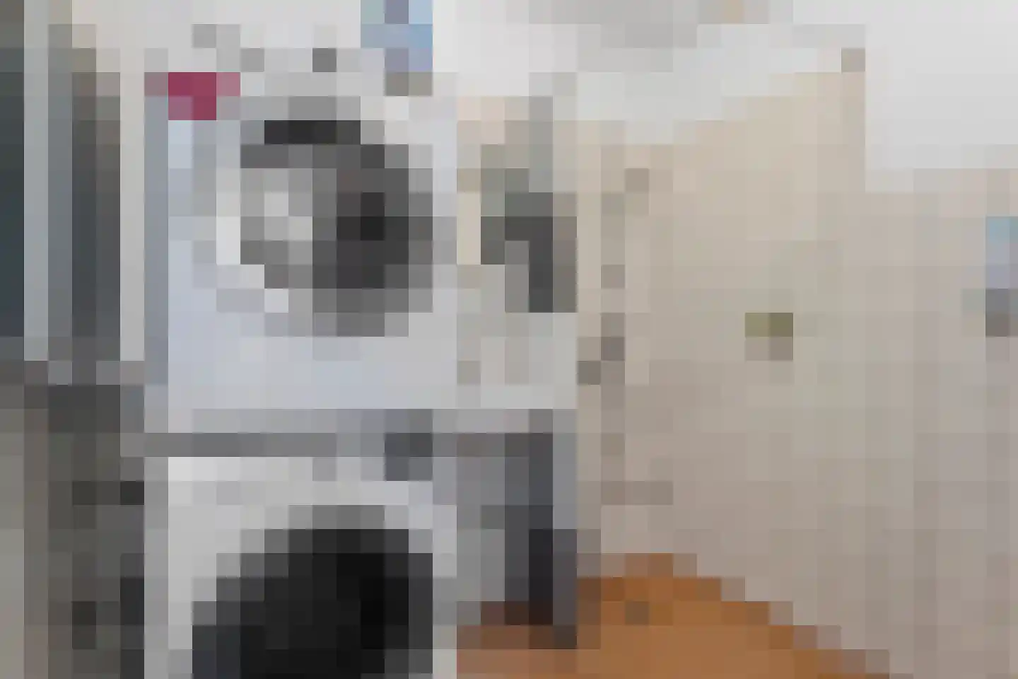 Bruinvisstraat 30 Amsterdam thumbnail 22