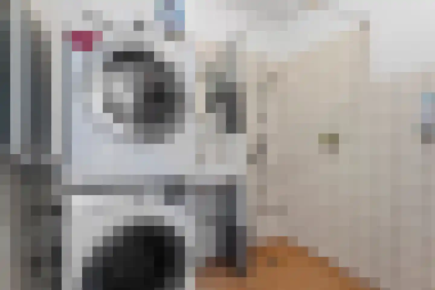 Bruinvisstraat 30 Amsterdam thumbnail 22