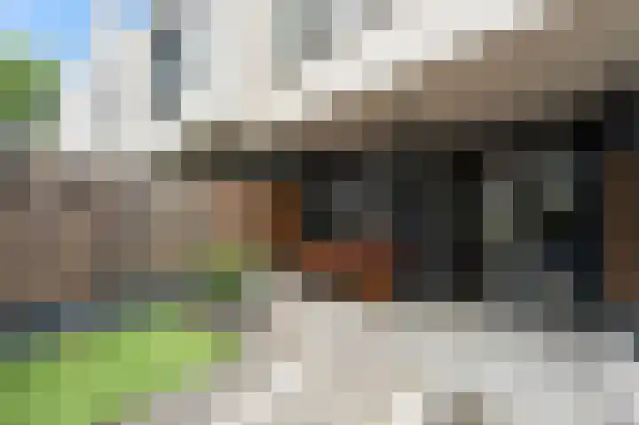 Bruinvisstraat 73 Amsterdam thumbnail 7
