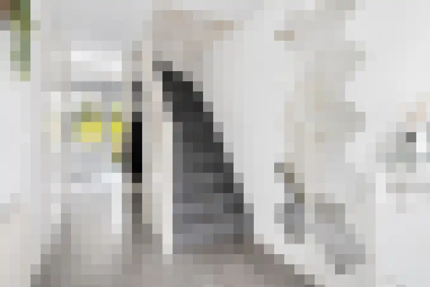 Bruinvisstraat 79 Amsterdam thumbnail 13
