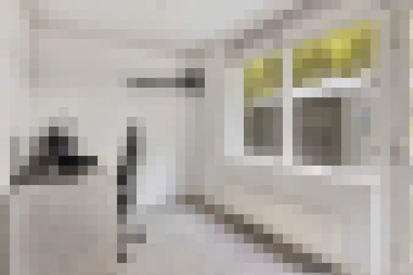 Bruinvisstraat 79 Amsterdam thumbnail 14