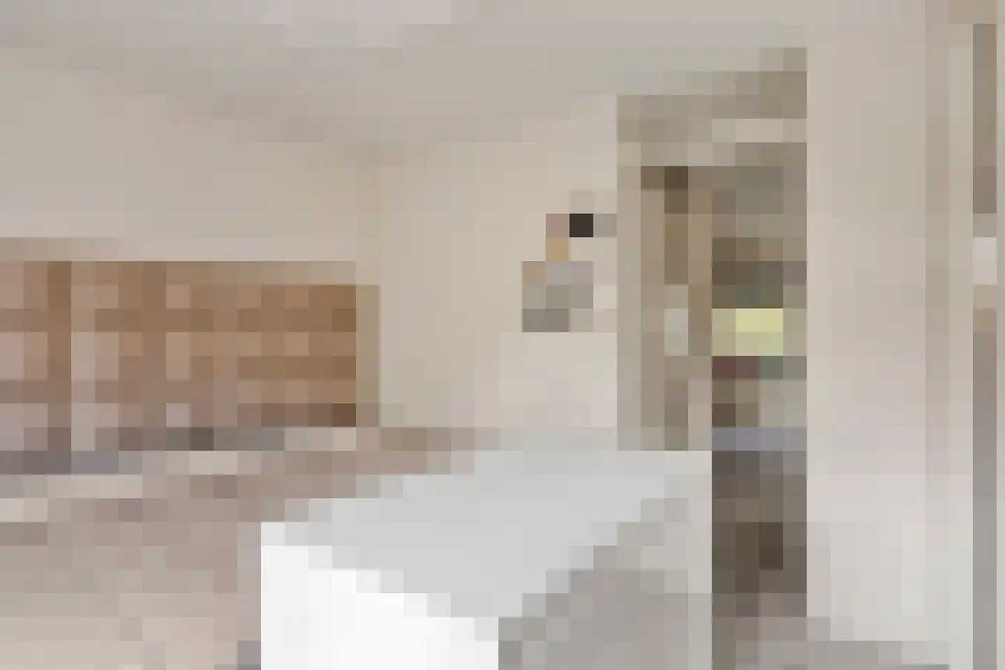 Bruinvisstraat 79 Amsterdam thumbnail 34